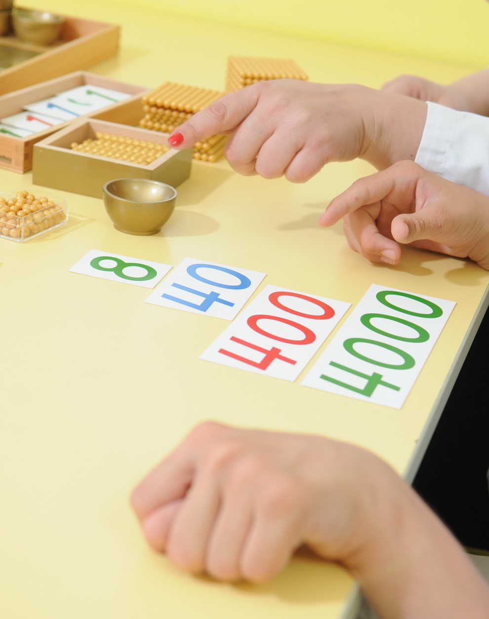 Habilitacija i rehabilitacija